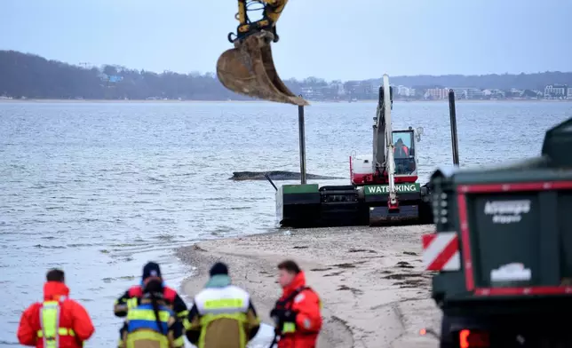 Helpers gather on the beach near a stranded whale as a new rescue attempt is to be made in Timmendorfer Strand, Germany, Thursday, March 26, 2026. (Daniel Bockwoldt/dpa via AP)
