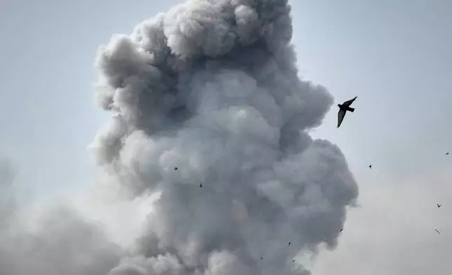 A bird flies by a plume of smoke rising after a strike in Tehran, Iran, Monday, March 2, 2026. (AP Photo/Vahid Salemi)