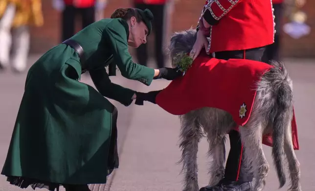 Britain's Kate, the Princess of Wales, joins the St. Patrick's Day Parade in Mons Barracks and presents the traditional sprigs of shamrock to Seamus the Irish Wolf Hound regimental mascot in Aldershot, Tuesday, March 17, 2026.(AP Photo/Alastair Grant)