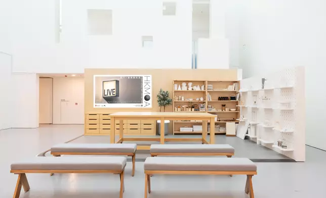 New HKMoA exhibition showcases diversity of contemporary Hong Kong art  Source: HKSAR Government Press Releases