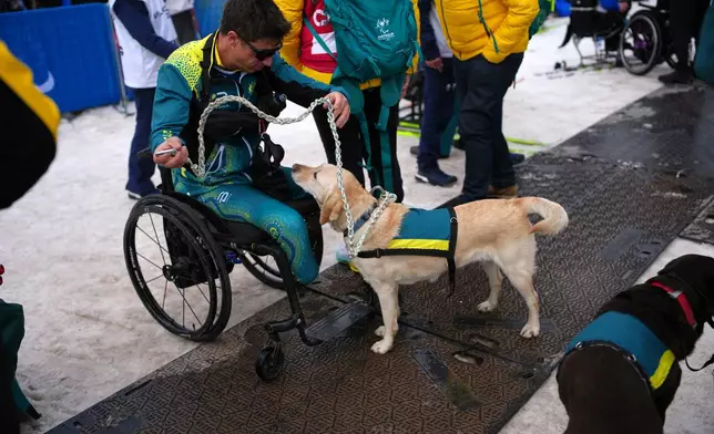 Dave Miln, of Australia, ie welcomed back by his dog Suki after competing in the cross country skiing men's 10Km interval start sitting final at the 2026 Winter Paralympics, in Tesero, Italy, Wednesday, March 11, 2026. (AP Photo/Emilio Morenatti)