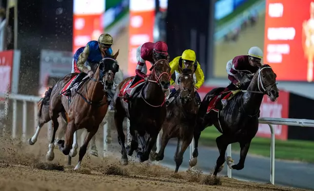 Magnitude, right, with jockey Jose Ortiz, leads the field into a turn after the start on they way to winning the $12 million Dubai World Cup horse race over 2000m (10 furlongs) at Meydan Racecourse in Dubai, the United Arab Emirates, Saturday, March 28, 2026. (AP Photo/Altaf Qadri)