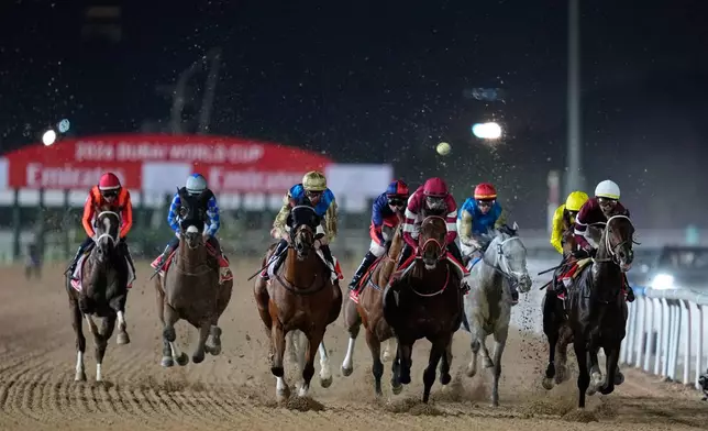Magnitude, right, with jockey Jose Ortiz, leads after the start on they way to winning the $12 million Dubai World Cup horse race over 2000m (10 furlongs) at Meydan Racecourse in Dubai, the United Arab Emirates, Saturday, March 28, 2026. (AP Photo/Altaf Qadri)