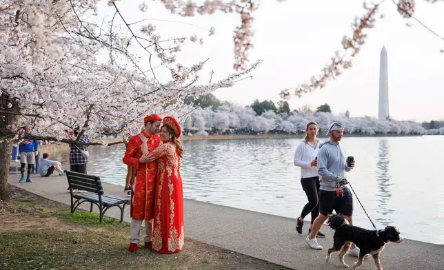 Visitors embrace while standing among the cherry blossom trees along the tidal basin on the National Mall on Thursday, March 26, 2026, in Washington. (AP Photo/Tom Brenner)
