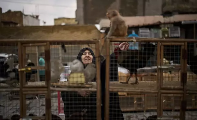 A woman plays with a monkey as she walks past cages with birds for sale in a street in downtown Baghdad, Iraq, Wednesday, March 25, 2026. (AP Photo/Leo Correa)