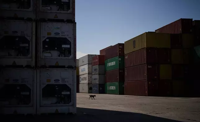 A dog walks past cargo containers at Umm Qasr Port, a deep-water port, in the city of Umm Qasr, Iraq, Friday, March 27, 2026. (AP Photo/Leo Correa)