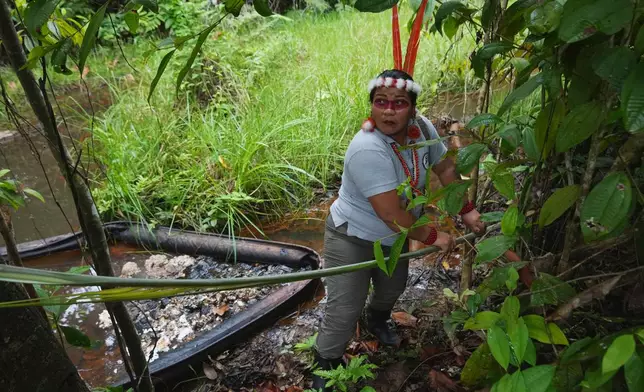 Waorani leader Dayuma Nango picks up a palm frond after wading into a darkened stream tainted by oil waste during a tour through Ecuador's Amazon in Sucumbios, Ecuador, Friday, March 6, 2026. (AP Photo/Dolores Ochoa)