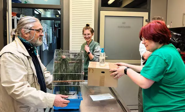 Warzaw Zoo director Andrzej Kruszewicz, left, veterinarian Ewelina Chudziak, center, and zoo employee Magdalena Zawadzka, right, discuss treatment plan for a wounded bullfinch at the birds' hospital of the Warsaw Zoo in Warsaw, Poland, Monday, March 16, 2026. (AP Photo/Claudia Ciobanu)