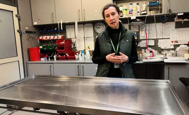 Andzelika Gackowska, manager of the birds' hospital at the Warsaw Zoo, speaks to The Associated Press during an interview at the main treatment room of the birds' hospital at the Warsaw Zoo in Warsaw, Poland, Monday, March 16, 2026. (AP Photo/Claudia Ciobanu)