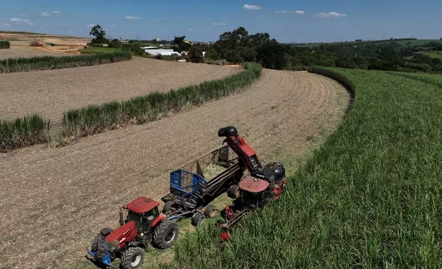 A tractor is loaded during a seedling harvest on a sugarcane plantation at Bom Retiro Farm in Artur Nogueira, Brazil, Tuesday, March 24, 2026. (AP Photo/Andre Penner)