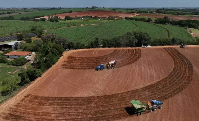 Tractors plant seedlings at Bom Retiro sugarcane farm in Artur Nogueira, Brazil, Tuesday, March 24, 2026. (AP Photo/Andre Penner)