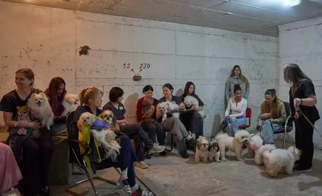 Dog salon workers take cover with the dogs in a bomb shelter as air raid sirens warn of incoming Iranian missile strikes in Ramat Gan, Israel, Wednesday, March 25, 2026. (AP Photo/Oded Balilty)
