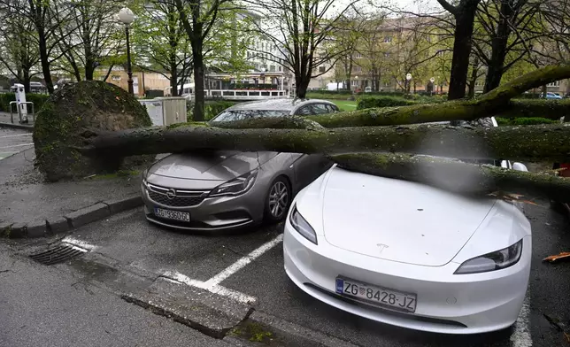 A tree lies on parked cars after strong winds in Zagreb, Croatia, Friday, March 27, 2026. (AP Photo/Goran Mehkek)