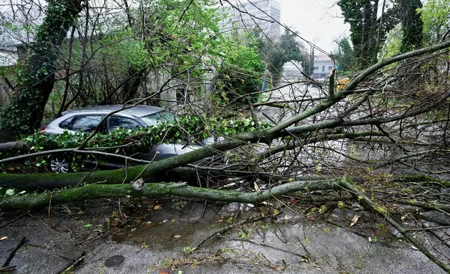 A tree lies on a parked car after strong winds in Zagreb, Croatia, Friday, March 27, 2026. (AP Photo/Boris Kovacev)