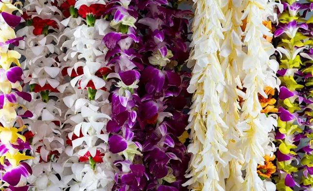 Lei hang inside a refrigerator at Cindy's Lei Shop in Chinatown, Thursday, Feb. 26, 2026, in Honolulu. (AP Photo/Mengshin Lin)