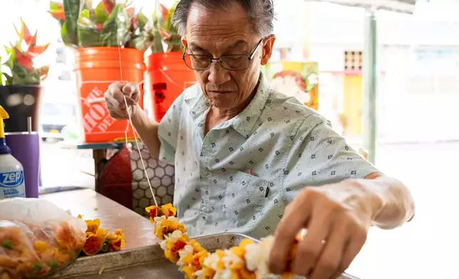 Sam Say, owner of M.P. Lei Shop, strings flowers to make a lei at his shop in Chinatown, Thursday, Feb. 26, 2026, in Honolulu. (AP Photo/Mengshin Lin)