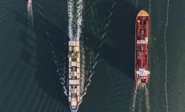 A bulk carrier and a cargo ship transit the Panama Canal in Panama City, Thursday, March 12, 2026. (AP Photo/Matias Delacroix)