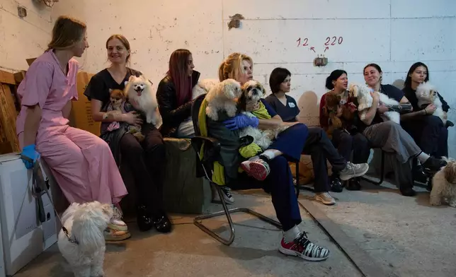 Dog salon workers take cover with the dogs in a bomb shelter as air raid sirens warn of incoming Iranian missile strikes in Ramat Gan, Israel, Wednesday, March 25, 2026. (AP Photo/Oded Balilty)