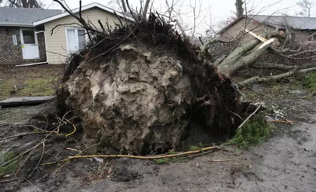 An uprooted tree sits outside a home in the aftermath of a powerful storm that ripped through the area a day earlier, in Lake Village, Ind., Wednesday, March 11, 2026. (AP Photo/Nam Y. Huh)