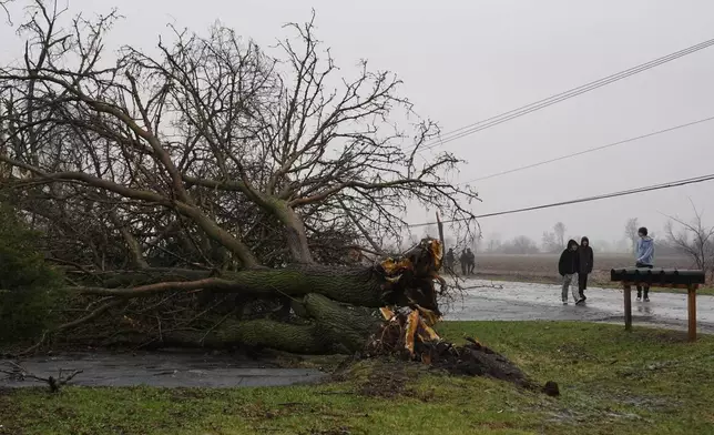 Toppled trees and utility poles lay across a road in the aftermath of a powerful storm that ripped through the area a day earlier in Lake Village, Ind., Wednesday, March 11, 2026. (AP Photo/Nam Y. Huh)