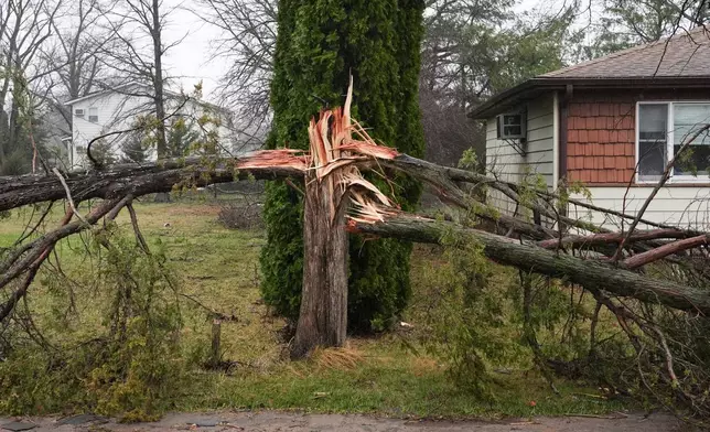 A storm-damaged tree stands outside a home in the aftermath of a powerful storm that ripped through the area a day earlier, in Lake Village, Ind., Wednesday, March 11, 2026. (AP Photo/Nam Y. Huh)