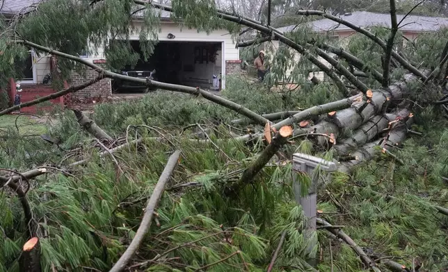 Felled trees sit piled outside a home in the aftermath of a powerful storm that ripped through the area a day earlier, in Lake Village, Ind., Wednesday, March 11, 2026. (AP Photo/Nam Y. Huh)