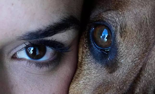 FILE - Magalí Maisonnave poses for a photo with her dachshund Sandro, in Buenos Aires, Argentina, April 6, 2025. (AP Photo/Natacha Pisarenko, file)