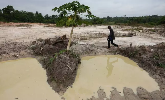 Manu Yaw Fofie, a cocoa farmer, walks through a section of his farm that has been given over to sand mining in Kona, Ghana, Friday, March 6, 2026. (AP Photo/Tsraha Yaw)