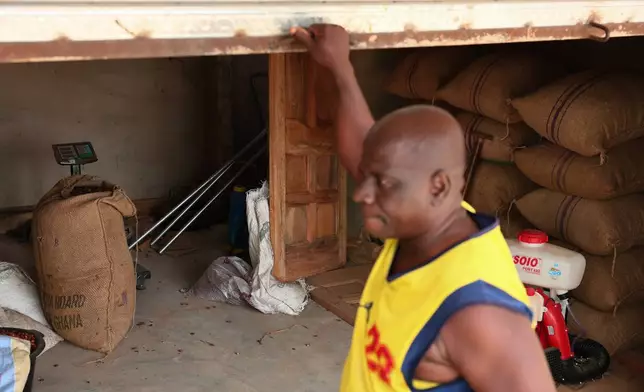 Bags of cocoa beans are stacked in a storage facility in Kona, Ghana, Friday, March 6, 2026. (AP Photo/Tsraha Yaw)