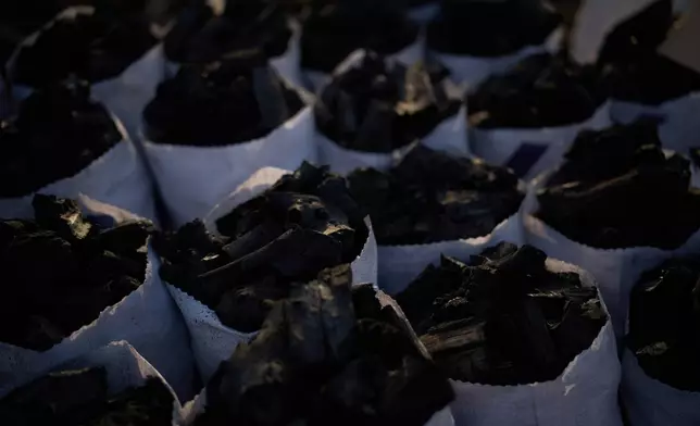 Sacks filled to the brim with charcoal are lined up in rows at a traditional production site in Sarkand, Iraq, Thursday, March 12, 2026. (AP Photo/Leo Correa)