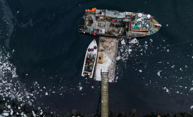 Fishermen unload boxes with fish from a boat at the harbor of Nuuk, Greenland, on Thursday, Jan. 22, 2026. (AP Photo/Evgeniy Maloletka)
