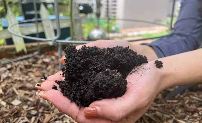A sample of soil is displayed at a home on Long Island, N.Y., on Aug. 21, 2025. (Jessica Damiano via AP)