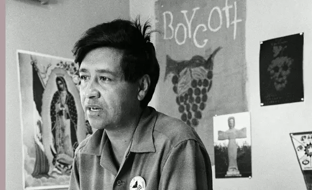 FILE - Cesar Chavez, a farm worker, labor organizer and leader of the California grape strike, is seen in a California works office in 1965. (AP Photo, George Brich, File)