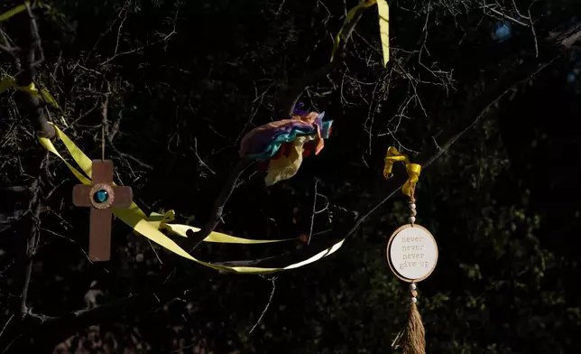 Offerings left by well-wishers hang in a tree at the home of Nancy Guthrie, the missing mother of "Today" show host Savannah Guthrie, in Tucson, Ariz., Friday, March 6, 2026. (AP Photo/Rebecca Noble)
