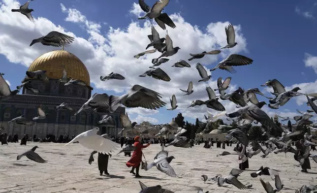 Pigeons fly overhead as worshippers arrive at the Al-Aqsa Mosque compound for Friday prayers in Jerusalem's Old City, Friday, Feb. 27, 2026. (AP Photo/Mahmoud Illean)