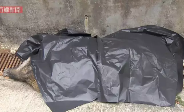 Photo source: Screenshot of i-CABLE News