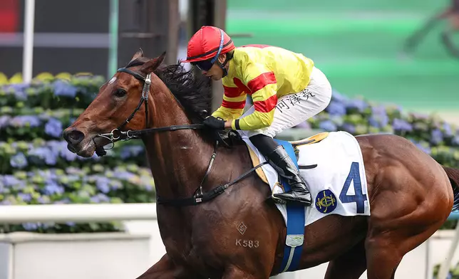 Hot Delight remains undefeated after three starts. Photo source: HKJC