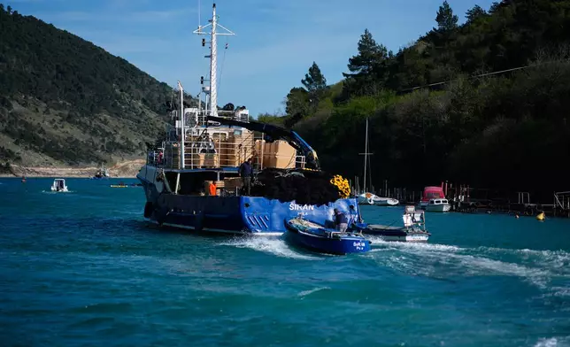 Fishermen depart for fishing from the port of Plomin, Croatia, Monday, April 6, 2026. (AP Photo/Darko Bandic)