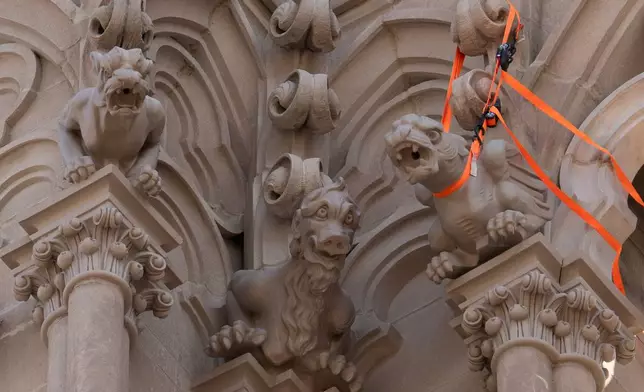 The final new terra cotta gargoyle is secured at right after being installed high on the Cathedral Basilica of the Assumption, known as "America's Notre Dame," in Covington, Ky., on Monday, March 30, 2026. (AP Photo/Carolyn Kaster)