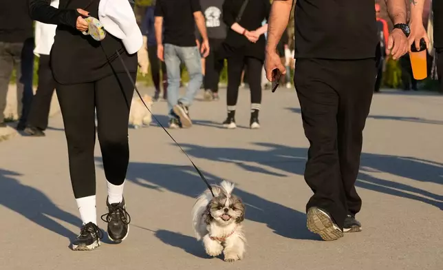 A dog gets a walk through Pardisan Park in Tehran, Iran, Friday, April 10, 2026. (AP Photo/Vahid Salemi)