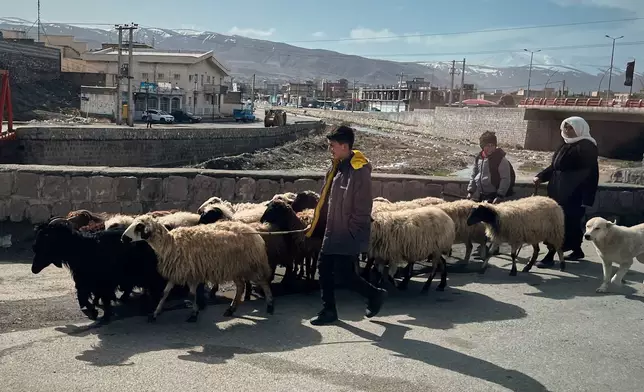 A shepherd tends his flock of sheep near a border crossing between Turkey and Iran, in Razi, Iran, Saturday, April 4, 2026. (AP Photo/Francisco Seco)
