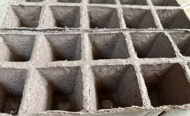 Strips of plastic-free, peat-based seed-starting cells appear on Long Island, N. Y., on April 8, 2026. (Jessica Damiano via AP)