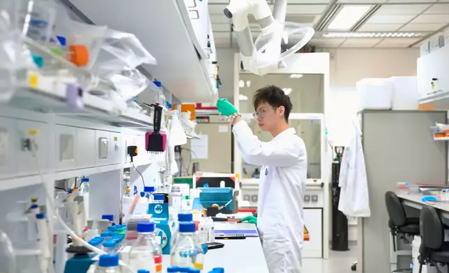 JC STEM Early Career Research Fellow Dr Jeff Lam conducts research at the JC STEM Lab of Neurobiology and Therapeutics of Alzheimer’s Disease.