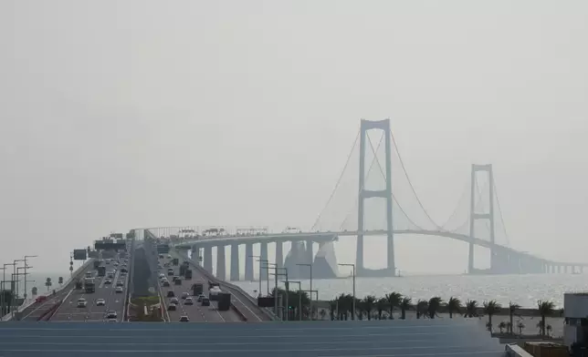 The delegation visited the western artificial island of the Shenzhen-Zhongshan Channel. Photo by Bastille Post