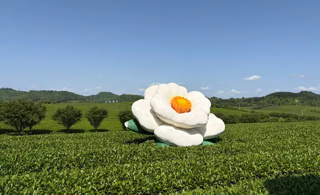 Photo by Bastille Post