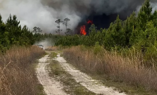 This photo provided by the Georgia Department of Natural Resources shows smoke fills the sky from the Pineland Road Fire in southeast Georgia on Wednesday, April 22, 2026. (Georgia Department of Natural Resources via AP)