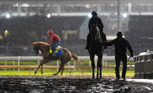 A horse is led off the track after a workout in the rain at Churchill Downs Wednesday, April 29, 2026, in Louisville, Ky. (AP Photo/Charlie Riedel)