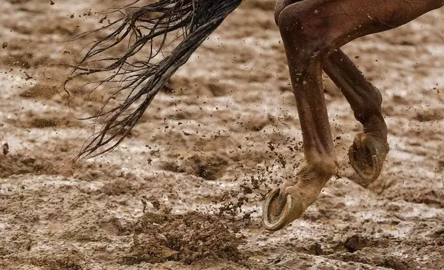 A horse works out on a muddy track at Churchill Downs Wednesday, April 29, 2026, in Louisville, Ky. (AP Photo/Charlie Riedel)