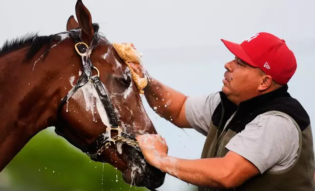 Kentucky Derby entrant Renegade gets a bath after a workout at Churchill Downs Monday, April 27, 2026, in Louisville, Ky. (AP Photo/Charlie Riedel)