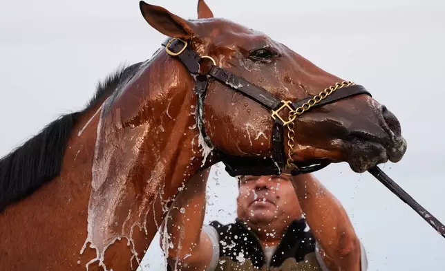 Kentucky Derby entrant Renegade gets a bath after a workout at Churchill Downs Monday, April 27, 2026, in Louisville, Ky. (AP Photo/Charlie Riedel)